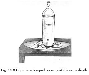 Class 8 Science Chapter 11 Force and Pressure Important Question 7