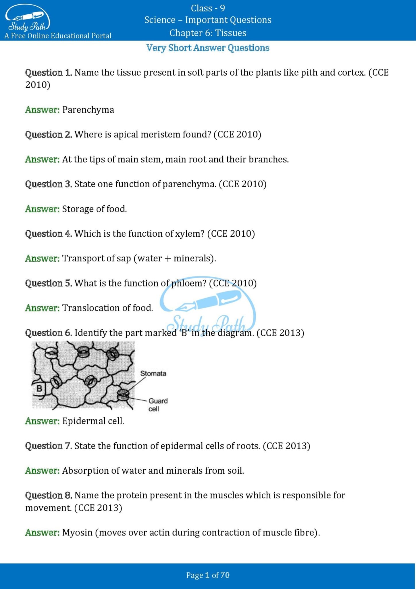 case study questions from tissues class 9