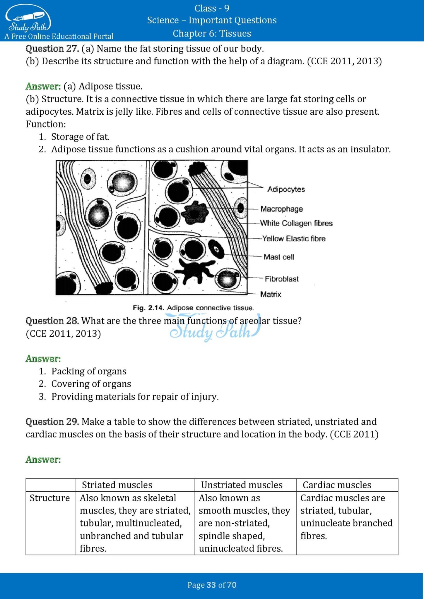 case study based questions class 9 biology tissue