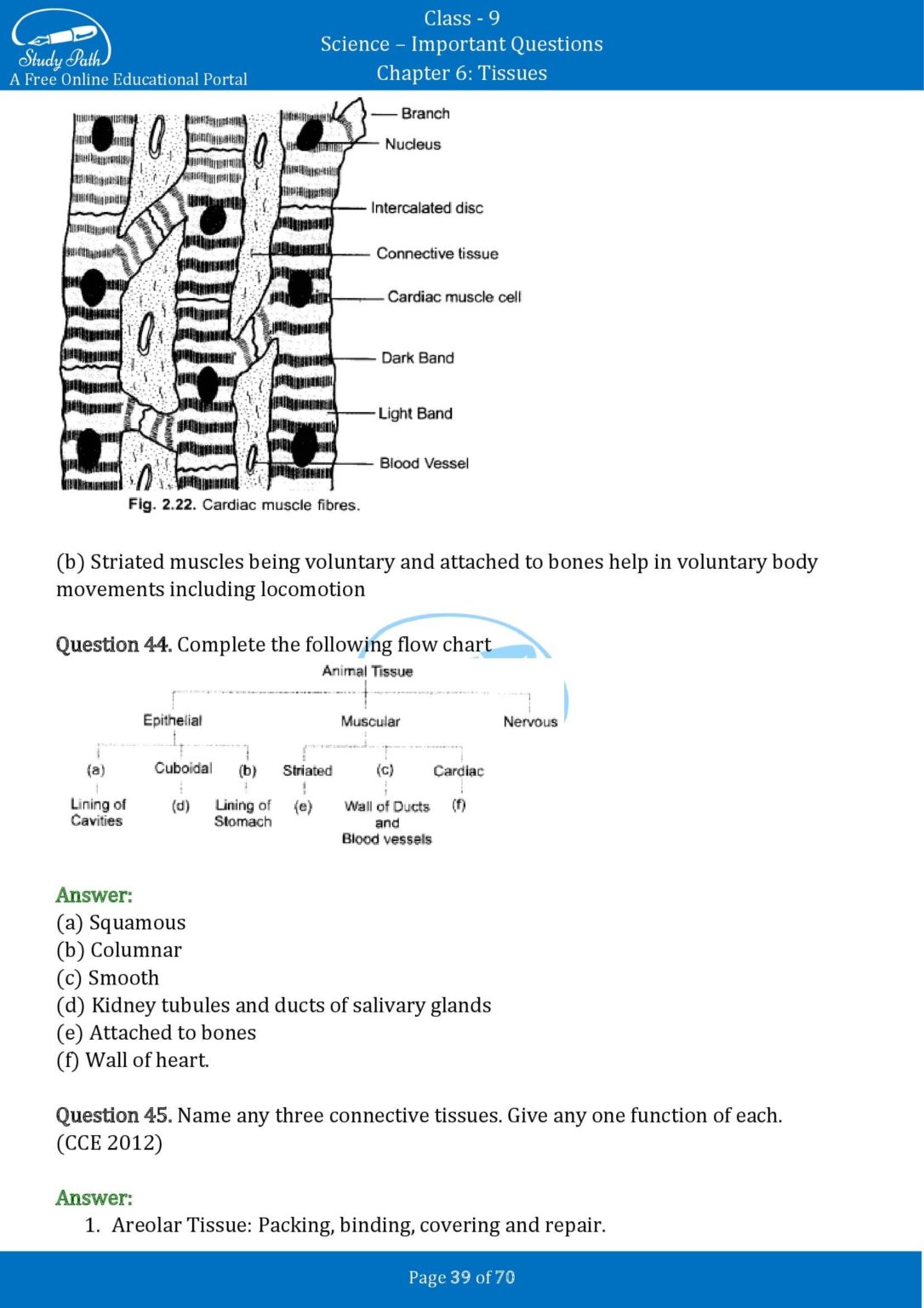 case study based questions class 9 biology tissue