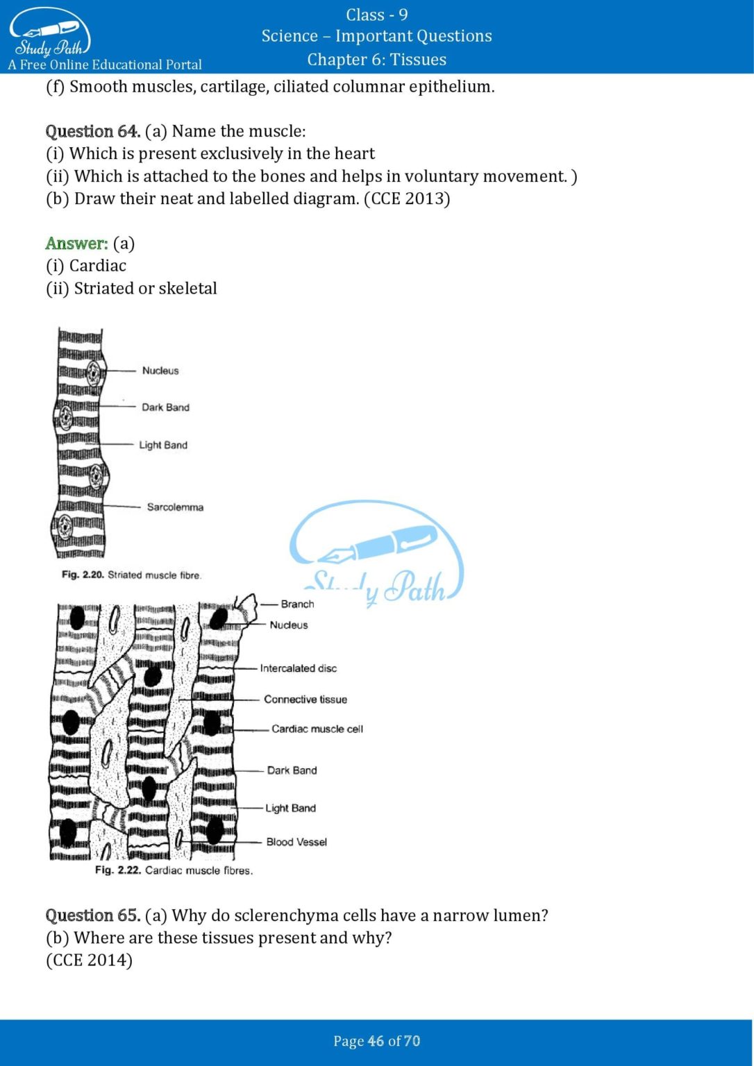 case study questions on tissues class 9 pdf