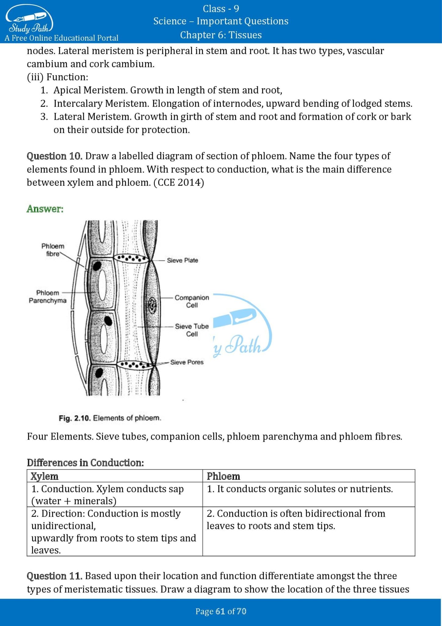 case study questions on tissues class 9 pdf