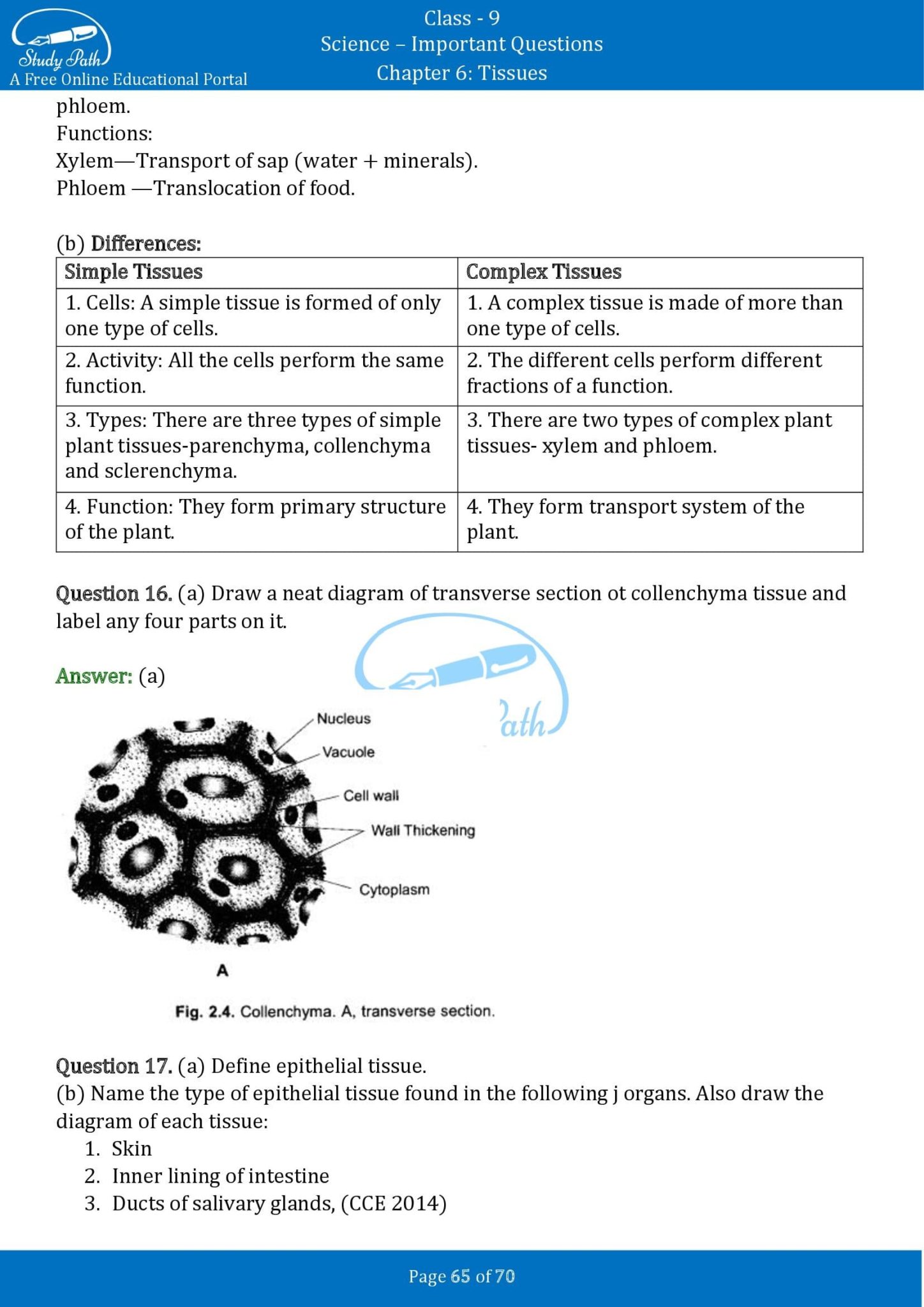 case study questions for tissues class 9